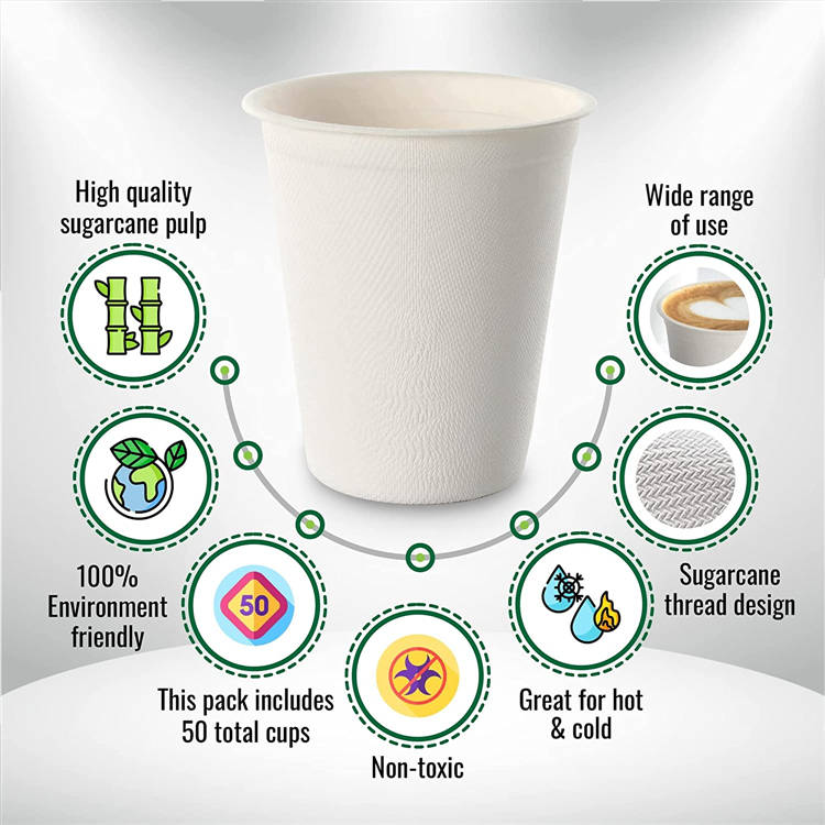 Cone Lid Cover With Lids And Straws Double Wall Plain Paper Cup